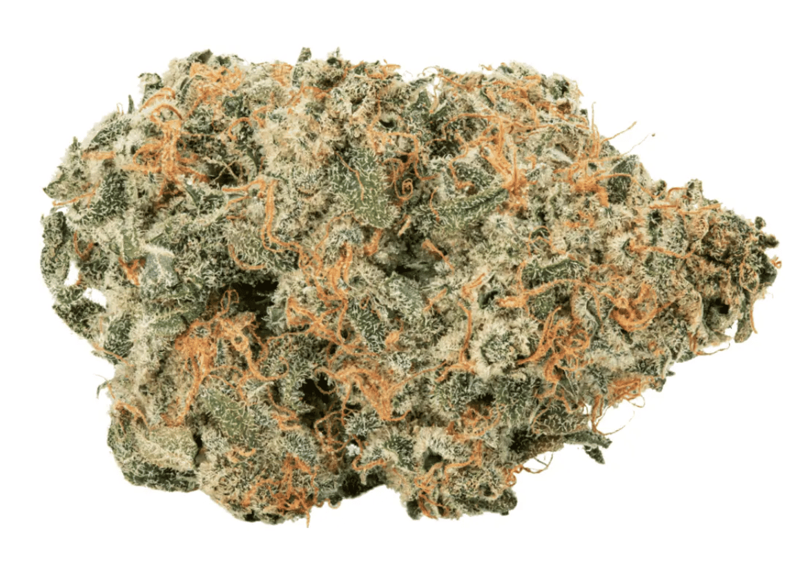 avaay 34/1 SCP Sour Cherry Punch